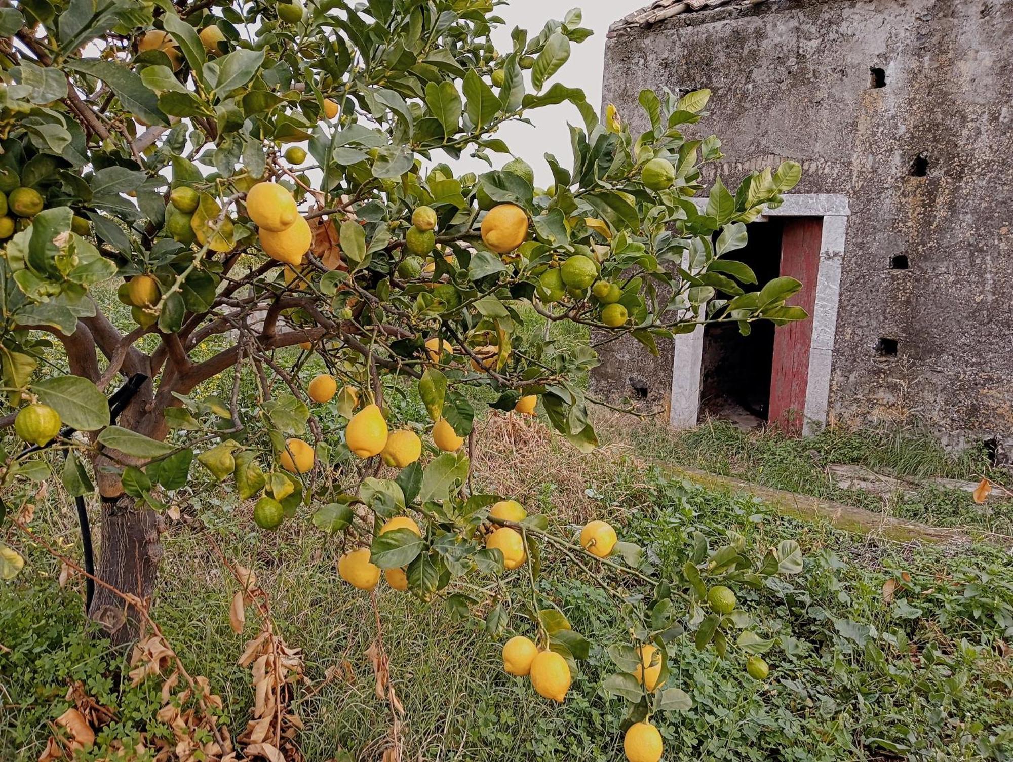 Villa Laura Apartment Giardini-Naxos Exterior foto